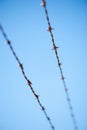 Barbed wire against a blue sky Royalty Free Stock Photo