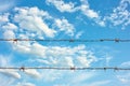 Barbed wire against a clear blue sky with fluffy clouds Royalty Free Stock Photo