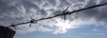 Barbed wire against clouds sky Royalty Free Stock Photo