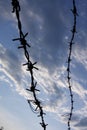 Barbed wire against cloundy sky