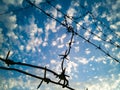 Barbed wire against the sky with clouds Royalty Free Stock Photo