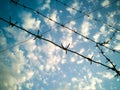 Barbed wire against the sky with clouds Royalty Free Stock Photo