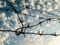 Barbed wire against the sky with clouds Royalty Free Stock Photo