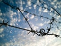 Barbed wire against the sky with clouds Royalty Free Stock Photo