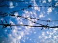 Barbed wire against the sky with clouds Royalty Free Stock Photo