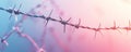 Barbed wire against a soft gradient background, concept of security and boundaries Royalty Free Stock Photo