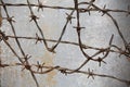 Barbed wire against the wall in the prison Royalty Free Stock Photo