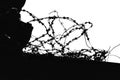 Barbed wire against white background. silhouette barbwire. imprisonment. jail