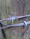 Barbed wire all in days work Royalty Free Stock Photo