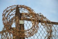 Barbed wire: Barb wire on fence with blue sky and sunrise light