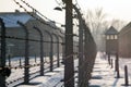 Barbed wire around a concentration camp. Shed guard in the background.