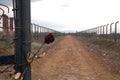 Barbed wire around a concentration camp. Side entrance of the concentration camp. Stressed rose and barbed wire.