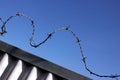Barbed wire atop of corrugated iron against a blue