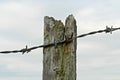 Barbed wire attached to a weathered wooden post