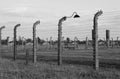 Barbed wire at Auschwitz Birkenau