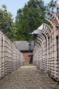 Barbed wire in Auschwitz, Poland