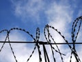 Barbed wire on the background the blue sky. Prison concept, rescue, refugee, space for text