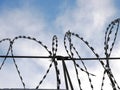 Barbed wire on the background blue sky. Prison concept, rescue, refugee, lonely, space for text