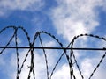 Barbed wire on background the blue sky. Prison concept, rescue, refugee, lonely, space for text