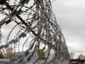 Barbed wire on background blue sky. Prison concept, rescue space for text