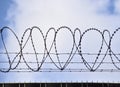 Barbed wire on a background of blue sky with white clouds. The concept of borders, prisons. Royalty Free Stock Photo