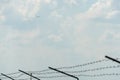 Barbed wire on a background of blue sky and white clouds and a plane taking off. Dictatorship in the Third World countries and the Royalty Free Stock Photo