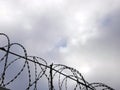 Barbed wire on the background the gray sky. Prison concept, rescue, refugee, space for text
