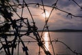 Barbed wire. Sunset. Ban Royalty Free Stock Photo