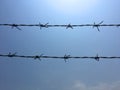 Barbed wire barb wire bobbed wire bob wire steel fencing wire sharp edges Royalty Free Stock Photo