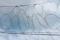 Barbed wire. Barbed wire on fence with blue sky to feel worrying. Royalty Free Stock Photo