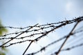 Barbed wire. Barbed wire on fence with blue sky to feel worrying. Royalty Free Stock Photo