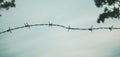 Barbed wire. Barbed wire on fence to feel worrying Concept Royalty Free Stock Photo