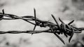 Barbed wire. Barbed wire on fence to feel worrying Concept Royalty Free Stock Photo