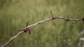 Barbed wire. Barbed wire on fence to feel worrying Concept Royalty Free Stock Photo