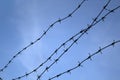 Barbed wire. Barbed wire on fence with blue sky to feel worrying Royalty Free Stock Photo