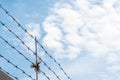 Barbed wire on blue sky with bird flying across wire, concept of escape to freedom