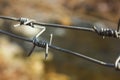 Barbed wire on blurred background Royalty Free Stock Photo