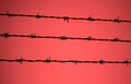 Barbed wire and the blurred red background Royalty Free Stock Photo