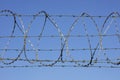 Barbed wire border fence and defense Royalty Free Stock Photo