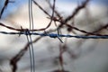 barbed wire cables  rusty metal Royalty Free Stock Photo