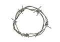 Barbed wire circle isolated on white background Royalty Free Stock Photo