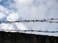 Barbed wire close-up against a blue sky, the concept of incarceration, serving a sentence, restriction of freedom, isolation, crim