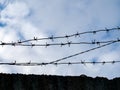 Barbed wire close-up against a blue sky, the concept of incarceration, serving a sentence, restriction of freedom, isolation, crim