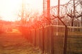 Barbed wire close-up. Conclusion, restriction of freedom