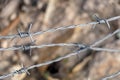 Barbed wire close up with copy space