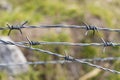 Barbed wire close up with copy space