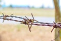 Barbed wire