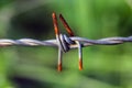 Barbed wire Royalty Free Stock Photo