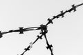 Barbed wire close up. Soft focus. The concept of the struggle for freedom. Copy space. Black and white image Royalty Free Stock Photo