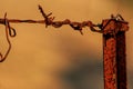 Barbed wire closeup Royalty Free Stock Photo